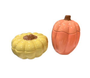 Pensacola Color Me Mine Fall Pumpkin Boxes