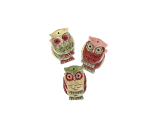 Pensacola Color Me Mine Owl Ornaments