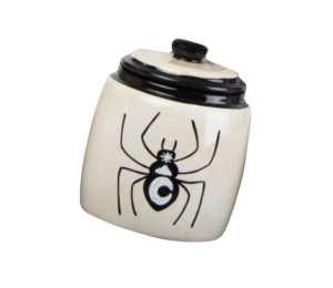 Pensacola Color Me Mine Celestial Spider Jar